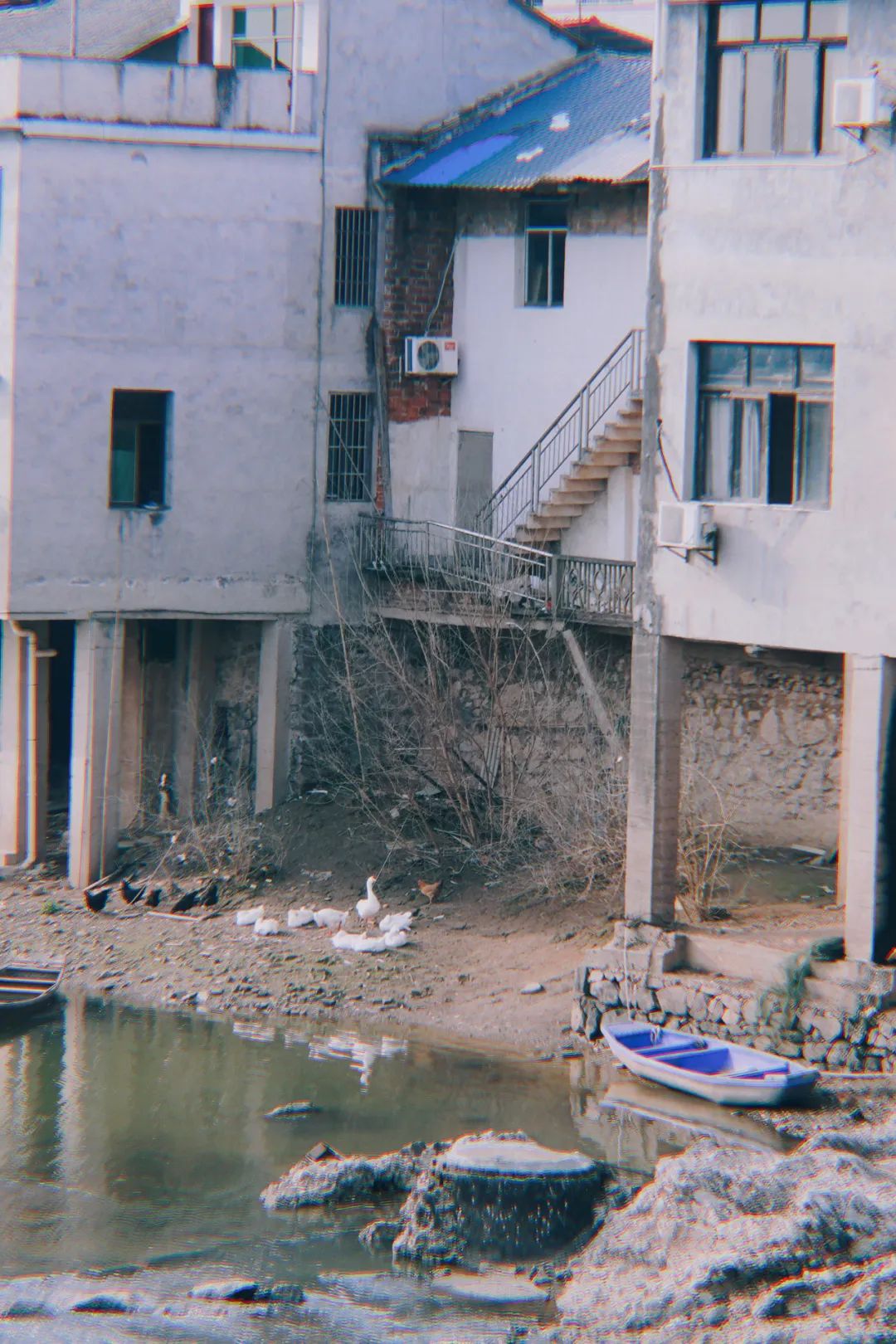 DƬ
